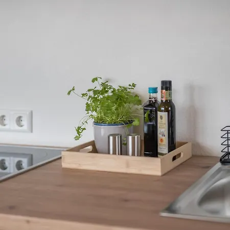 Blick Zum Säntis Apartment Horgenzell