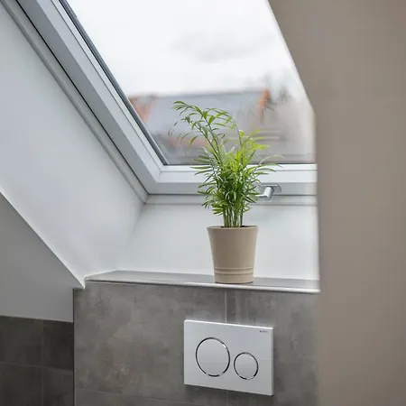 Blick Zum Saentis 公寓